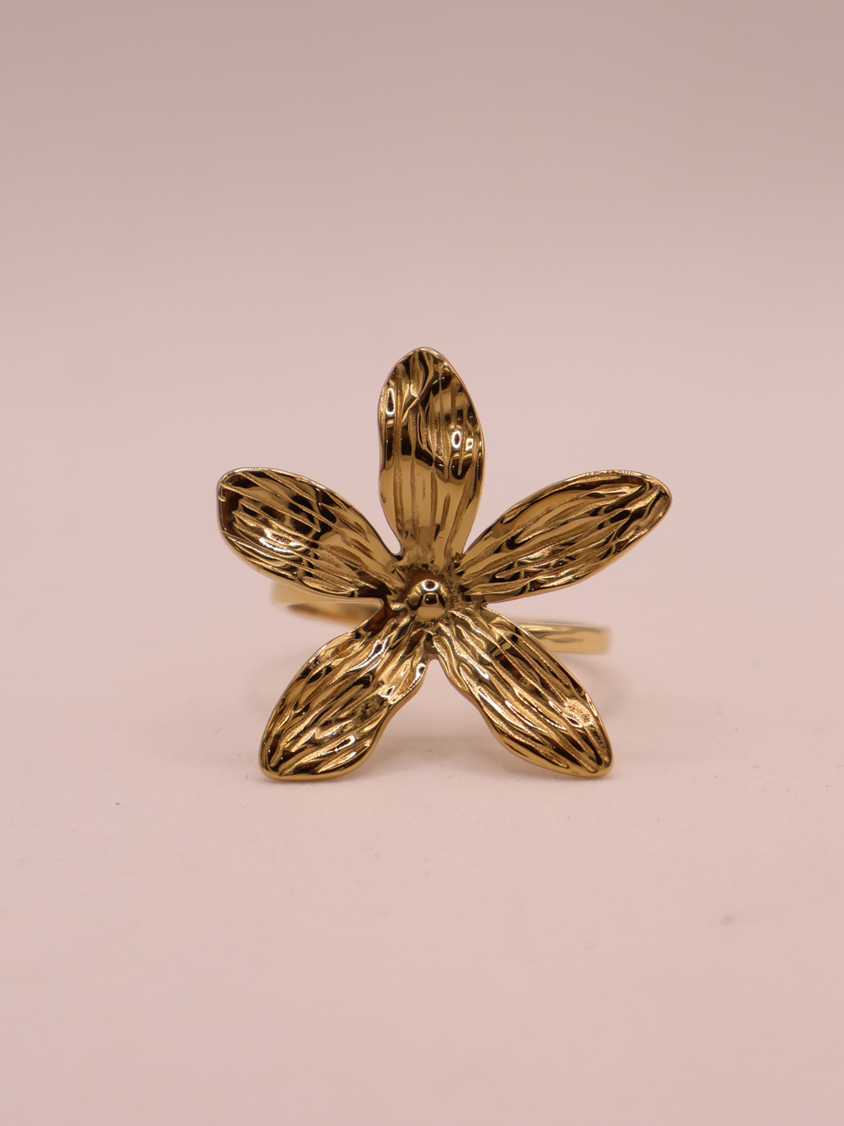 Anillo MERANO