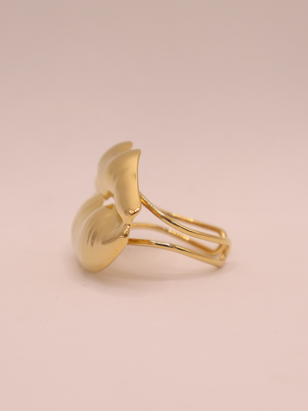 Anillo CARMEL