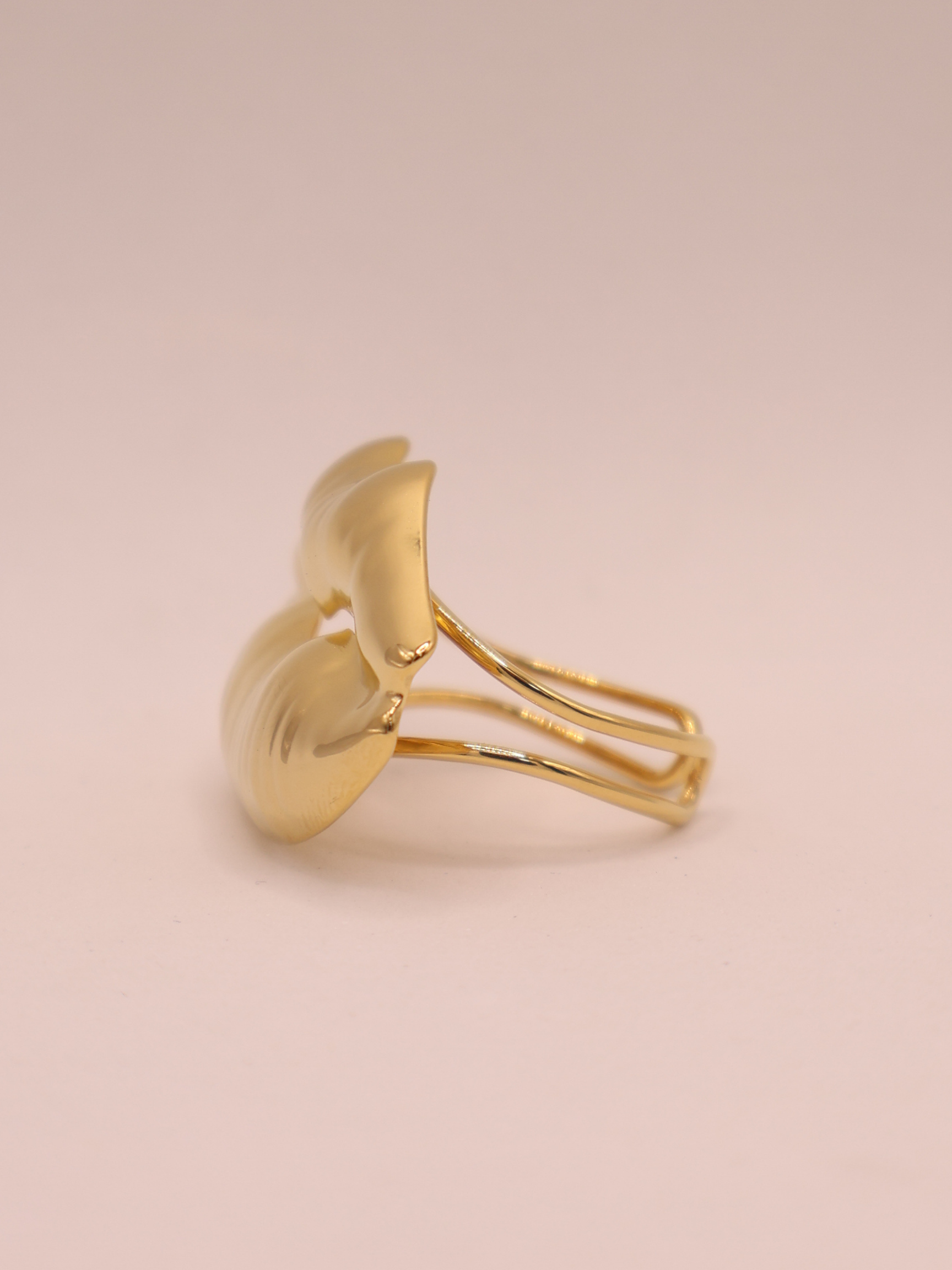Anillo CARMEL