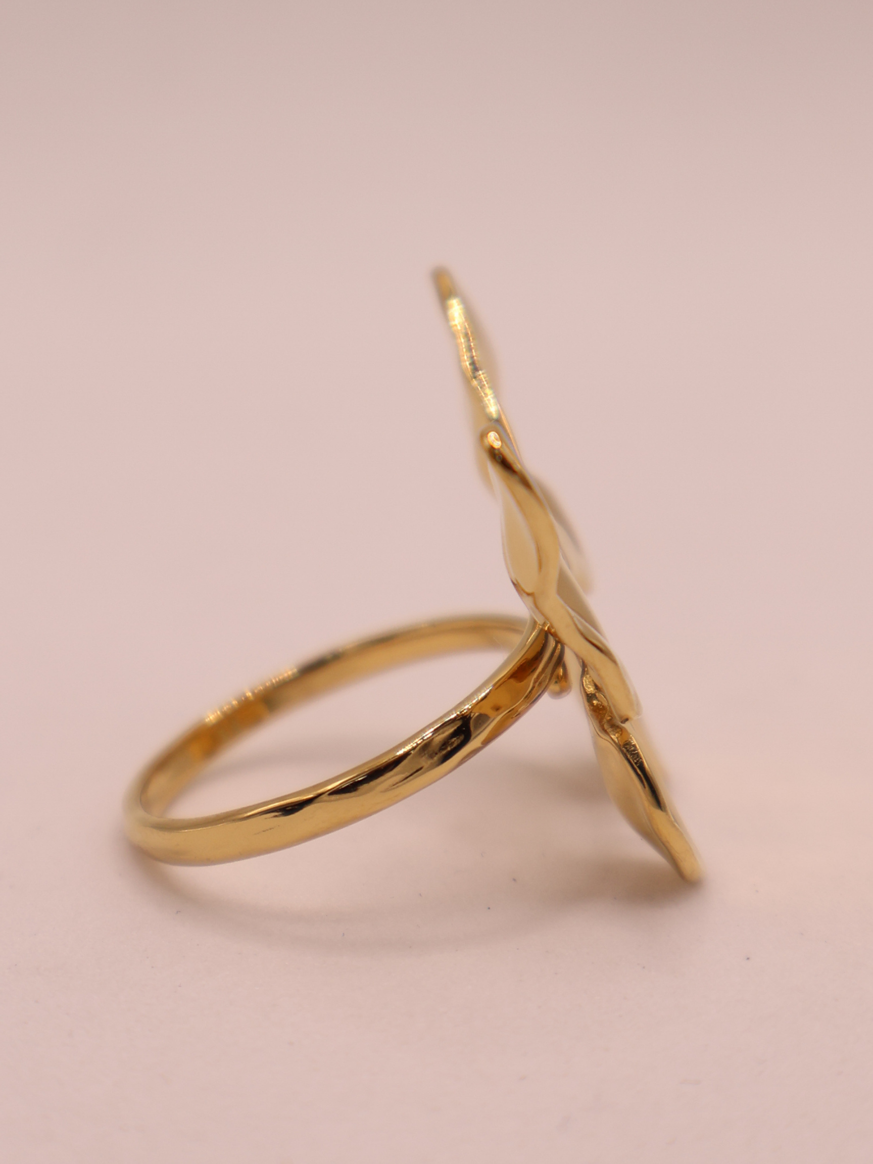 Anillo ASCONA