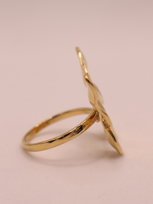 Anillo ASCONA