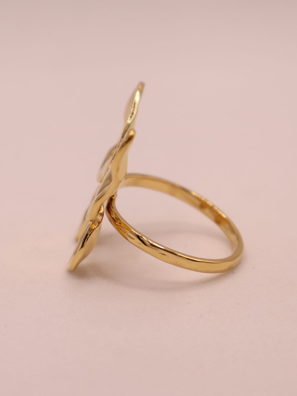 Anillo ASCONA