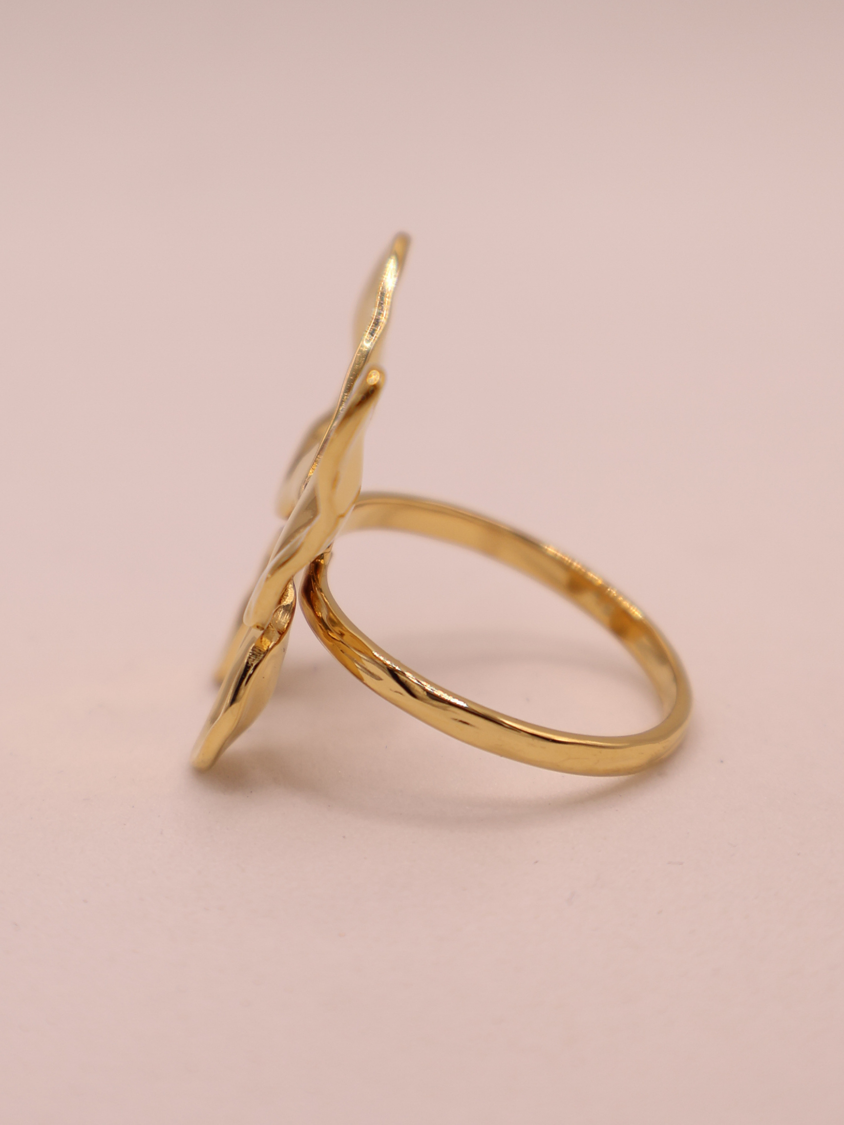 Anillo ASCONA