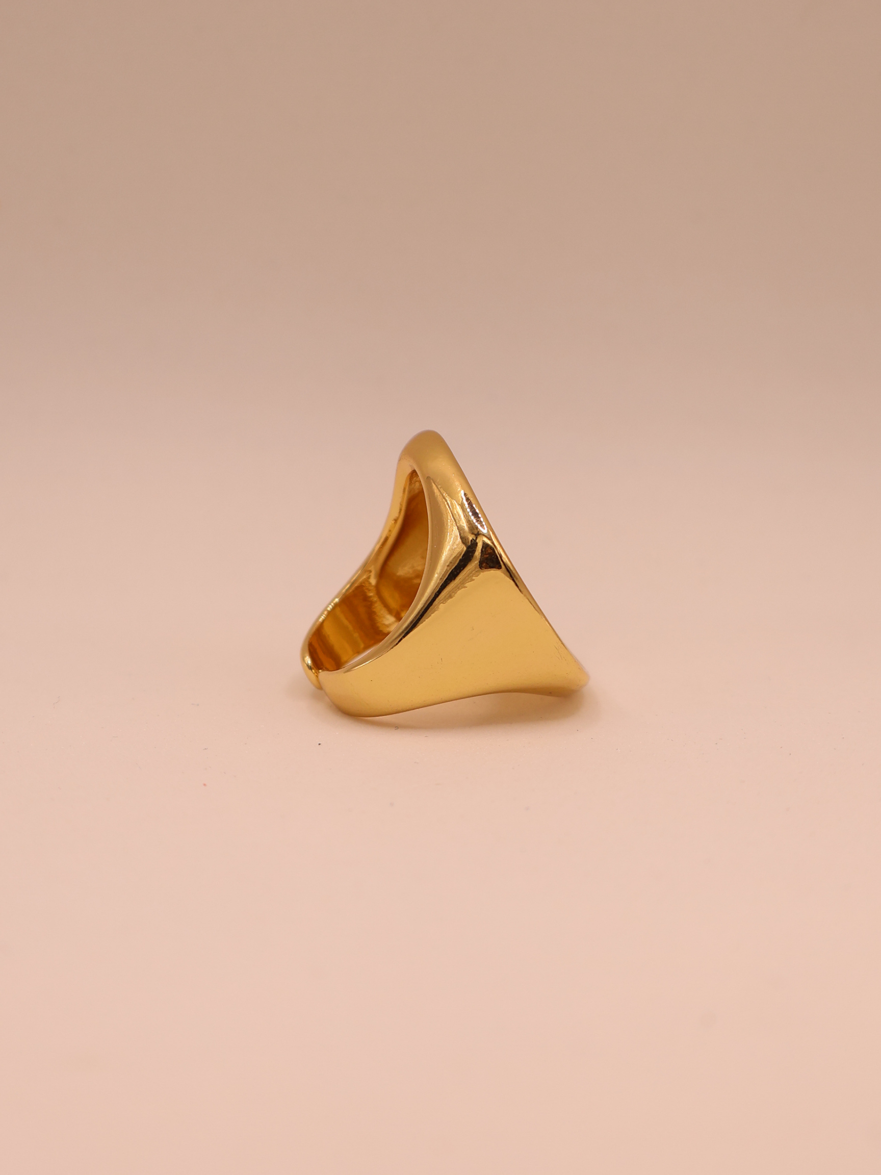 Anillo VIENA