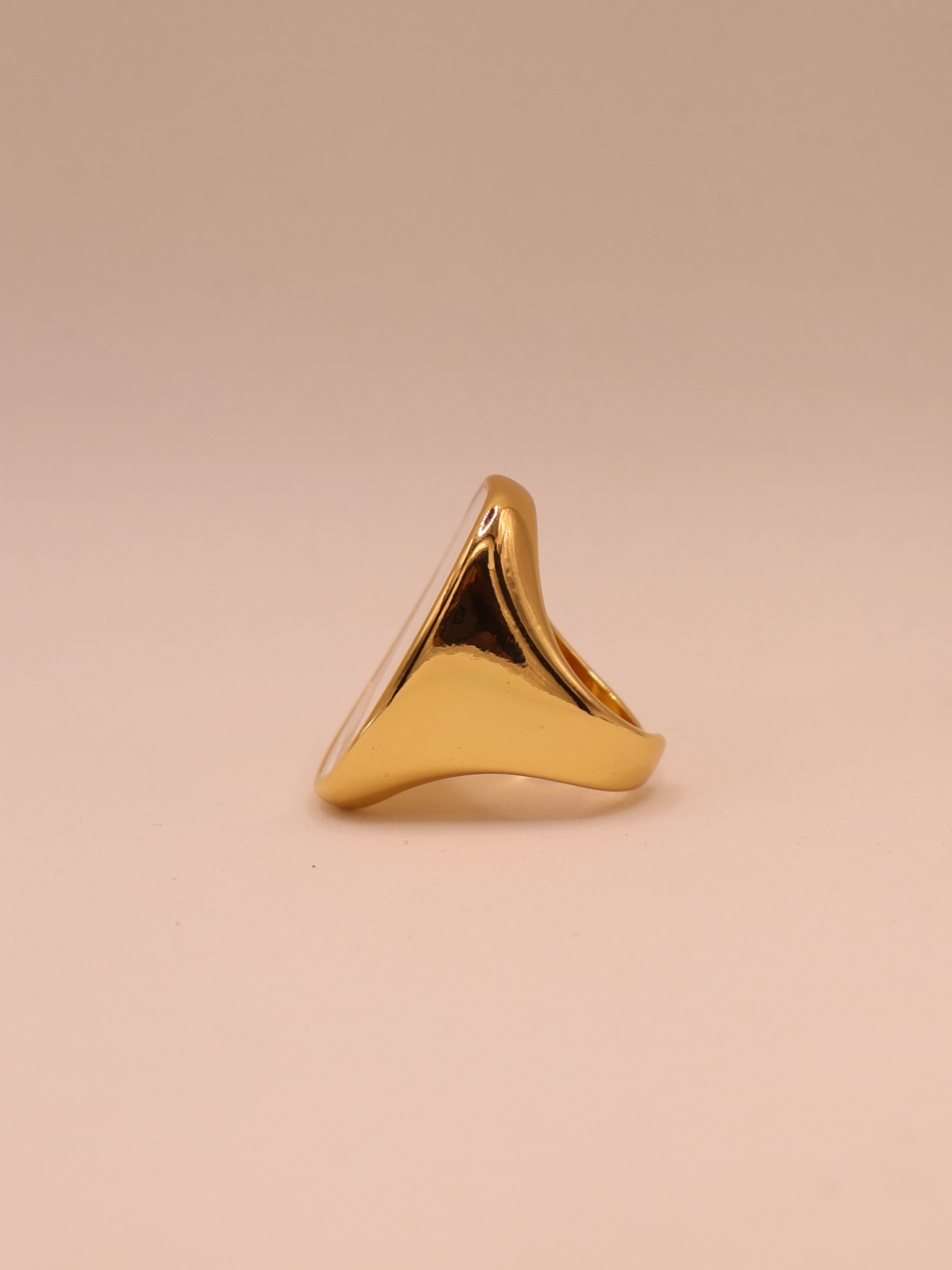 Anillo VIENA