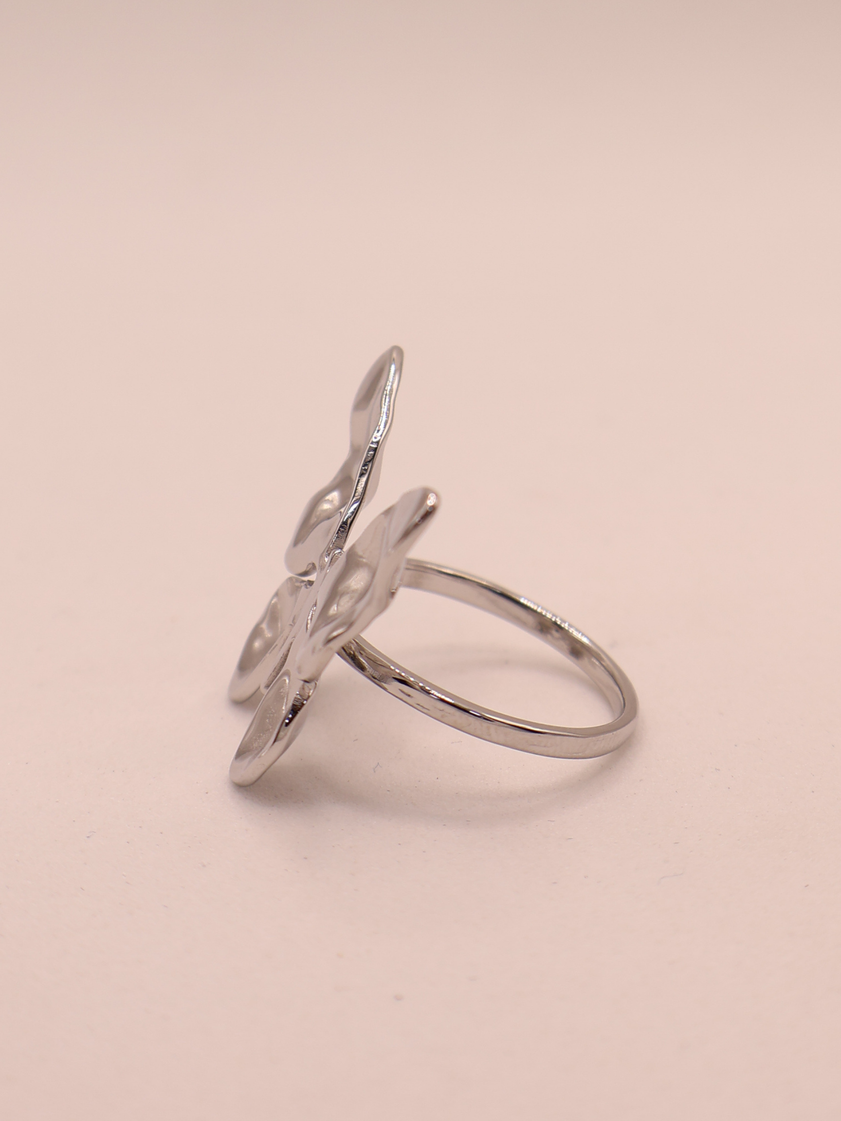 Anillo SEGOVIA