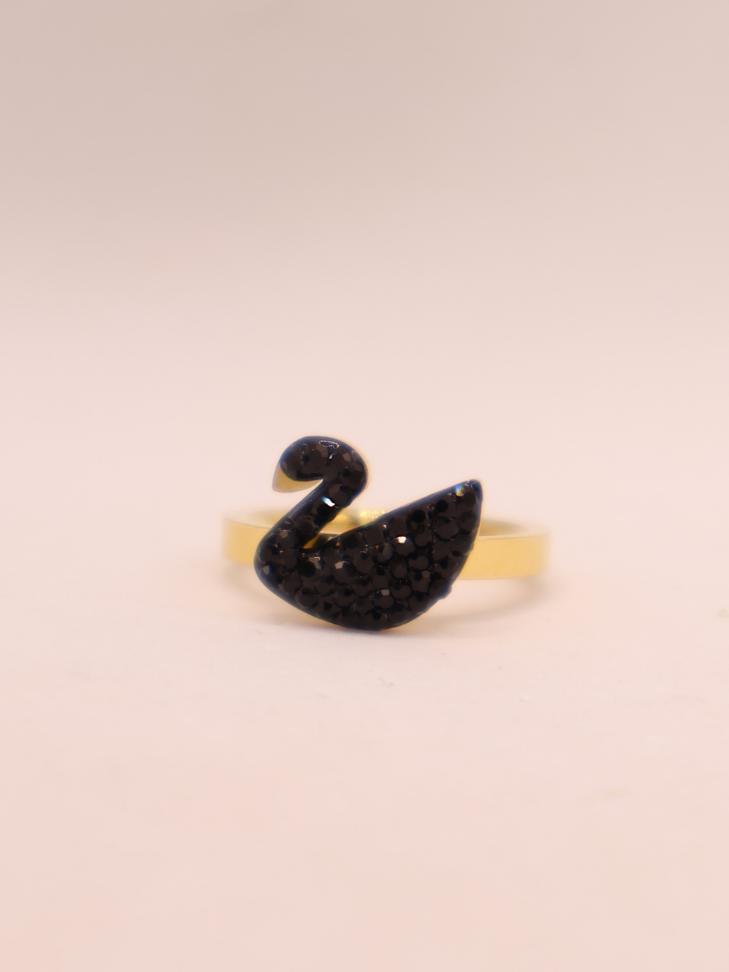 ANILLO 49