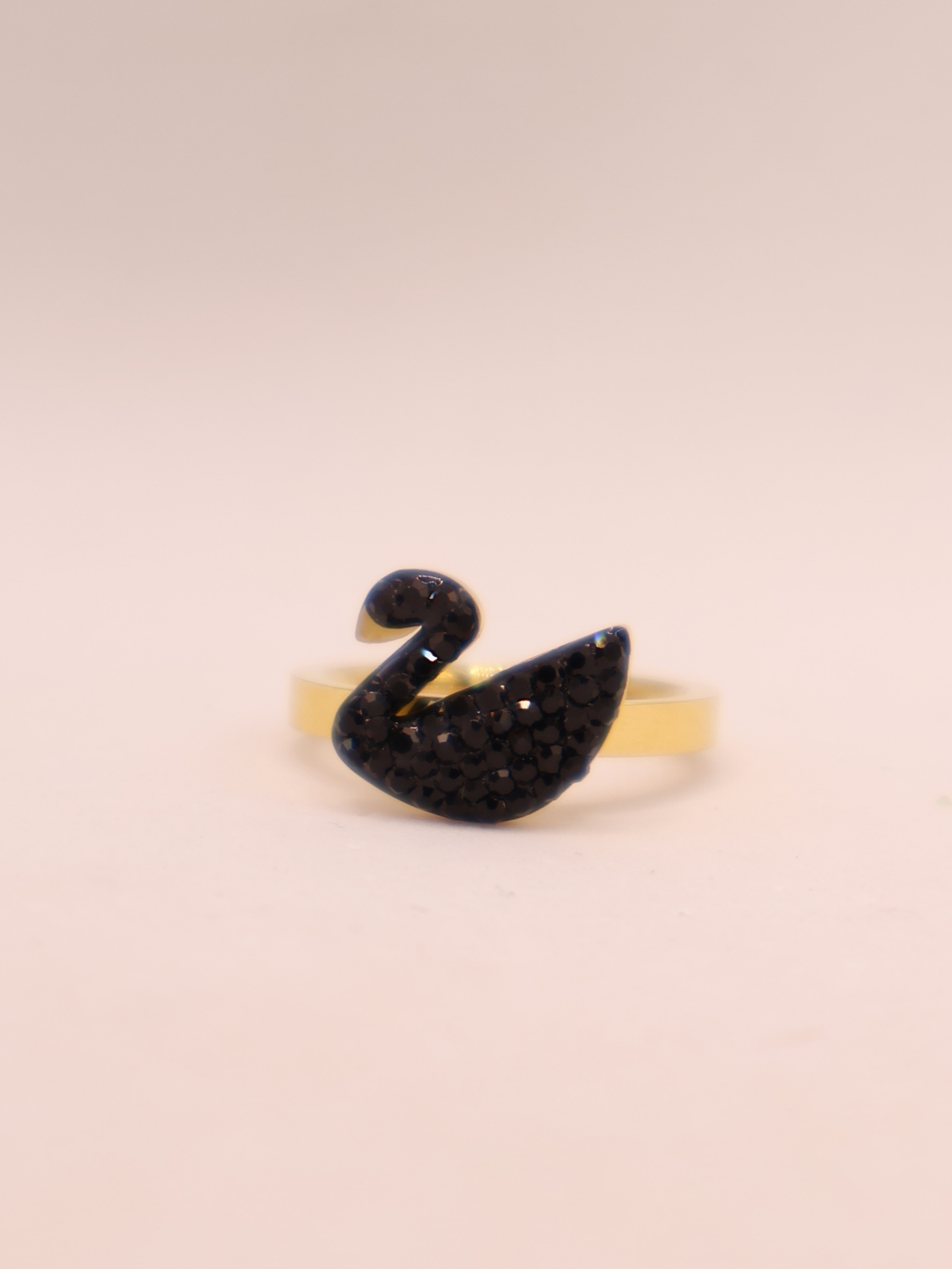 ANILLO 49