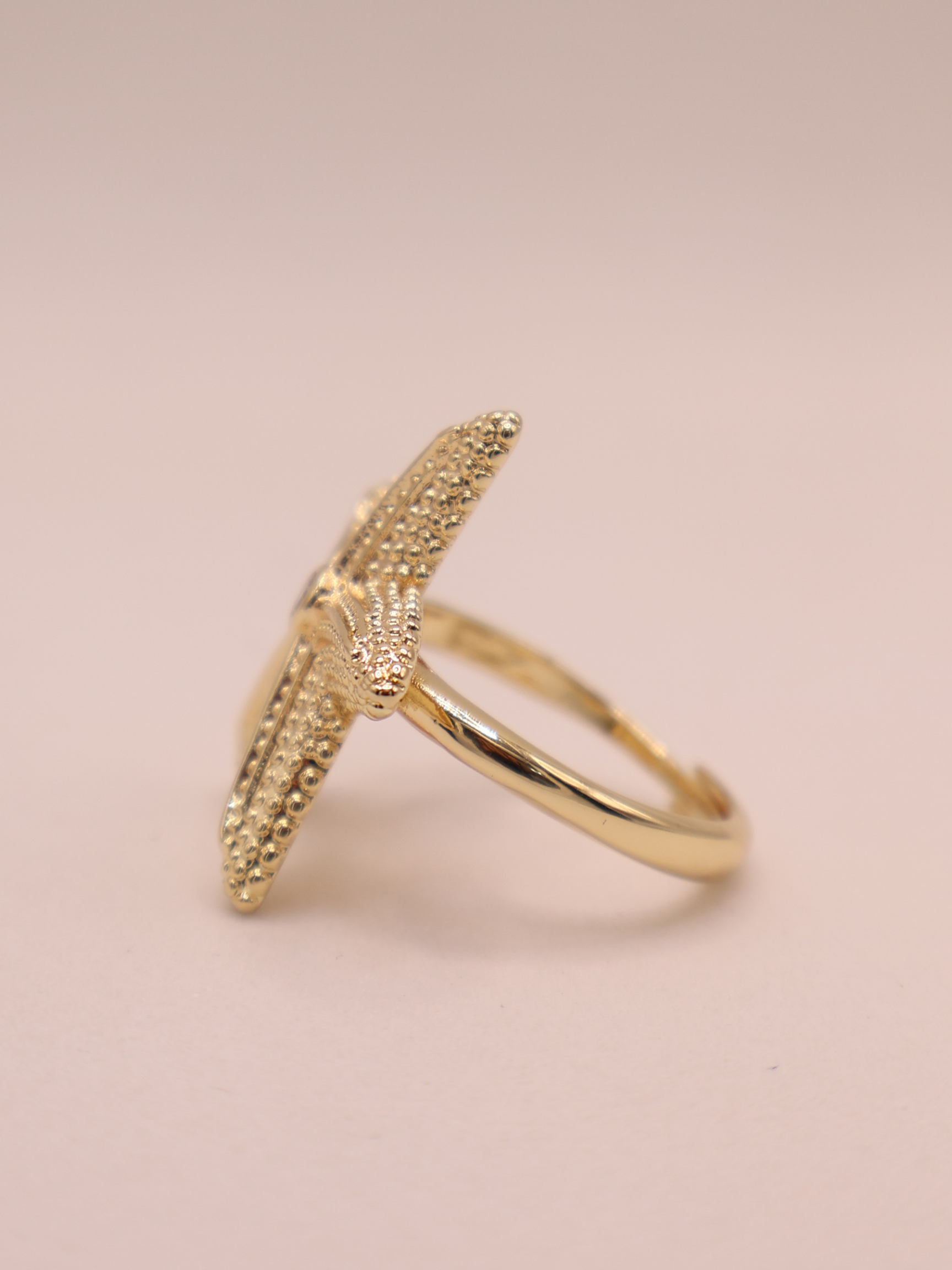 Anillo Elora