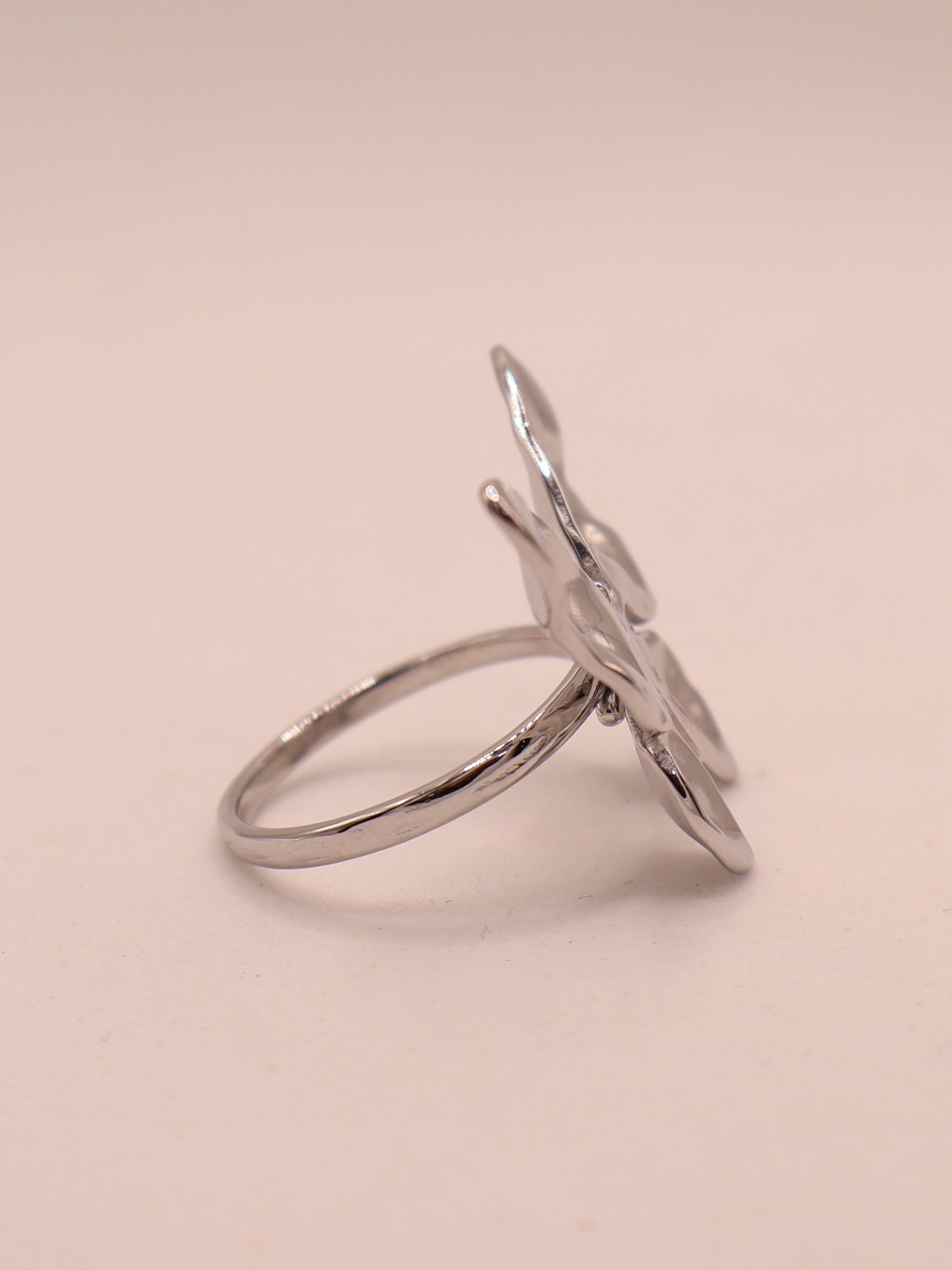 Anillo SEGOVIA