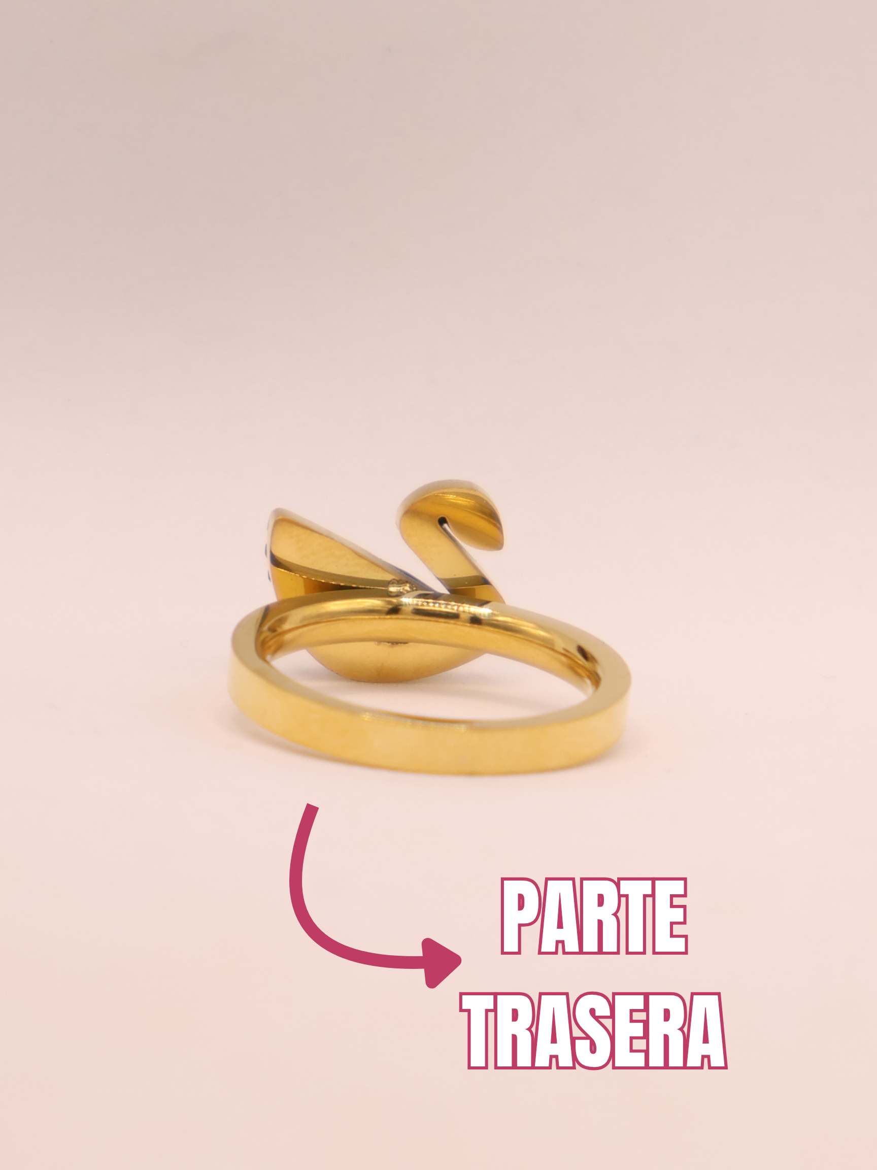 ANILLO 49