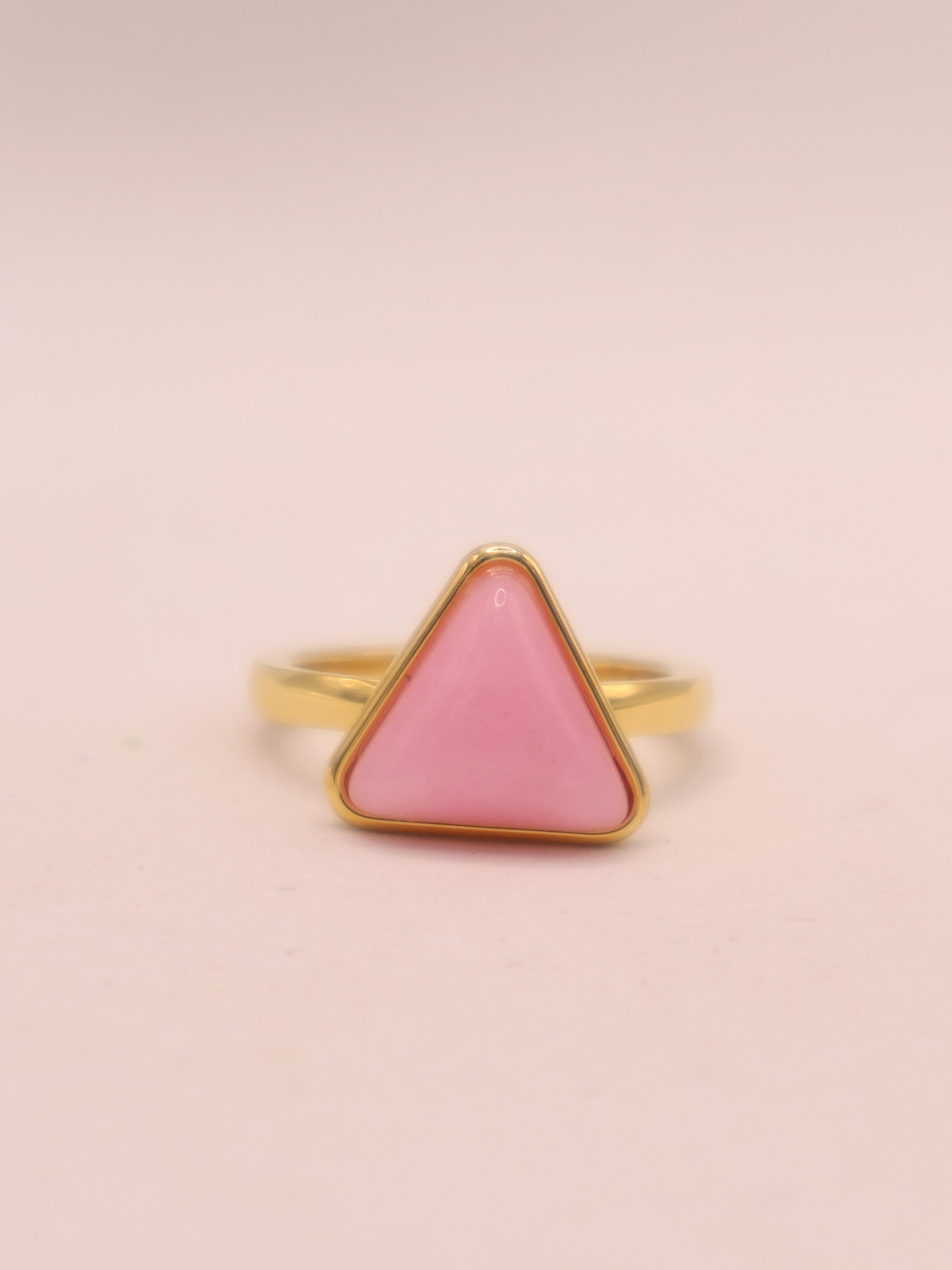 ANILLO 51