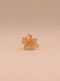 Anillo ASPEN