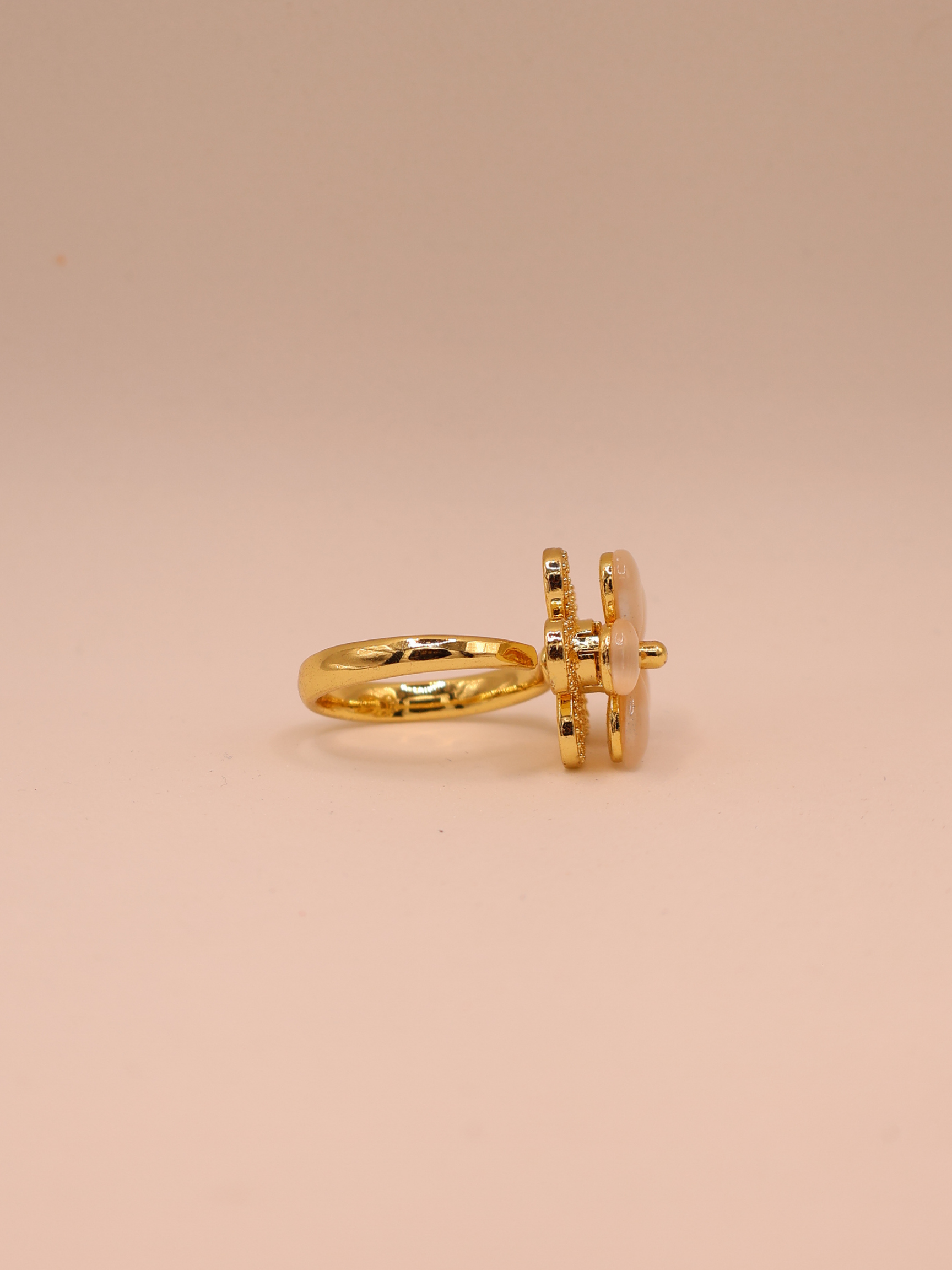 Anillo ASPEN