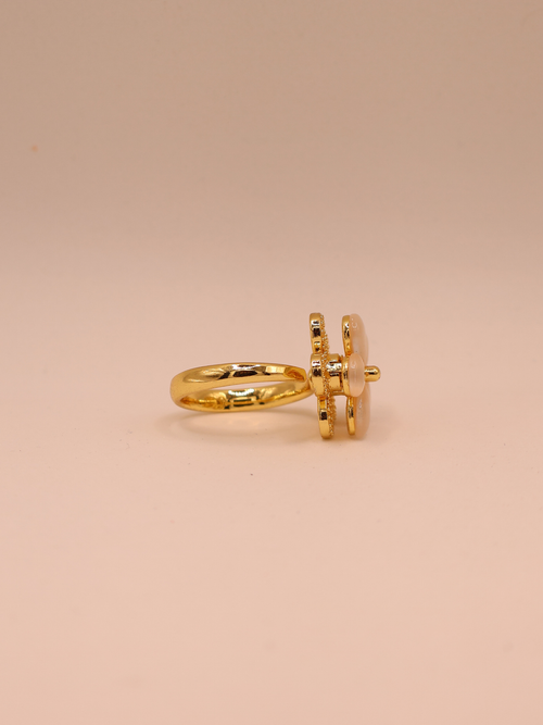 Anillo ASPEN