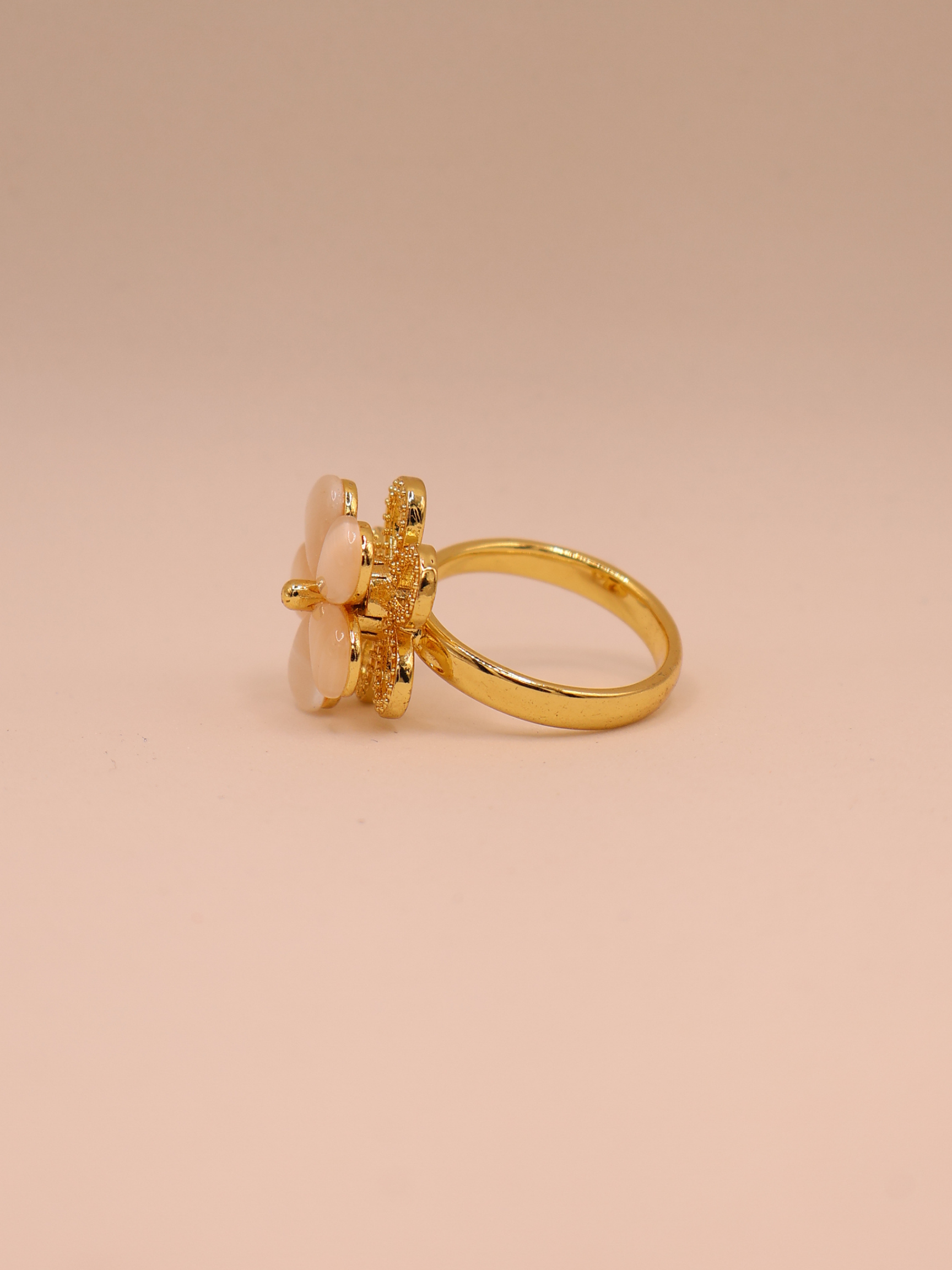 Anillo ASPEN