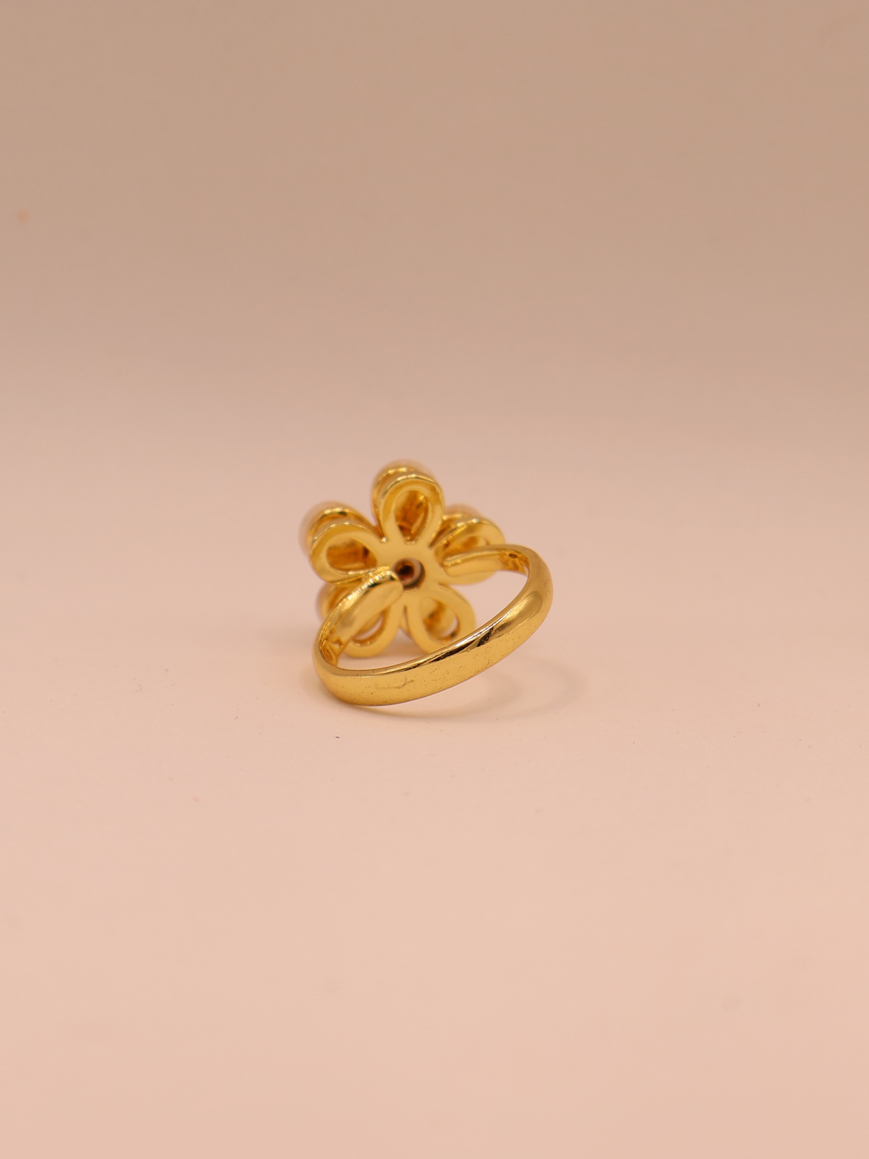 Anillo ASPEN