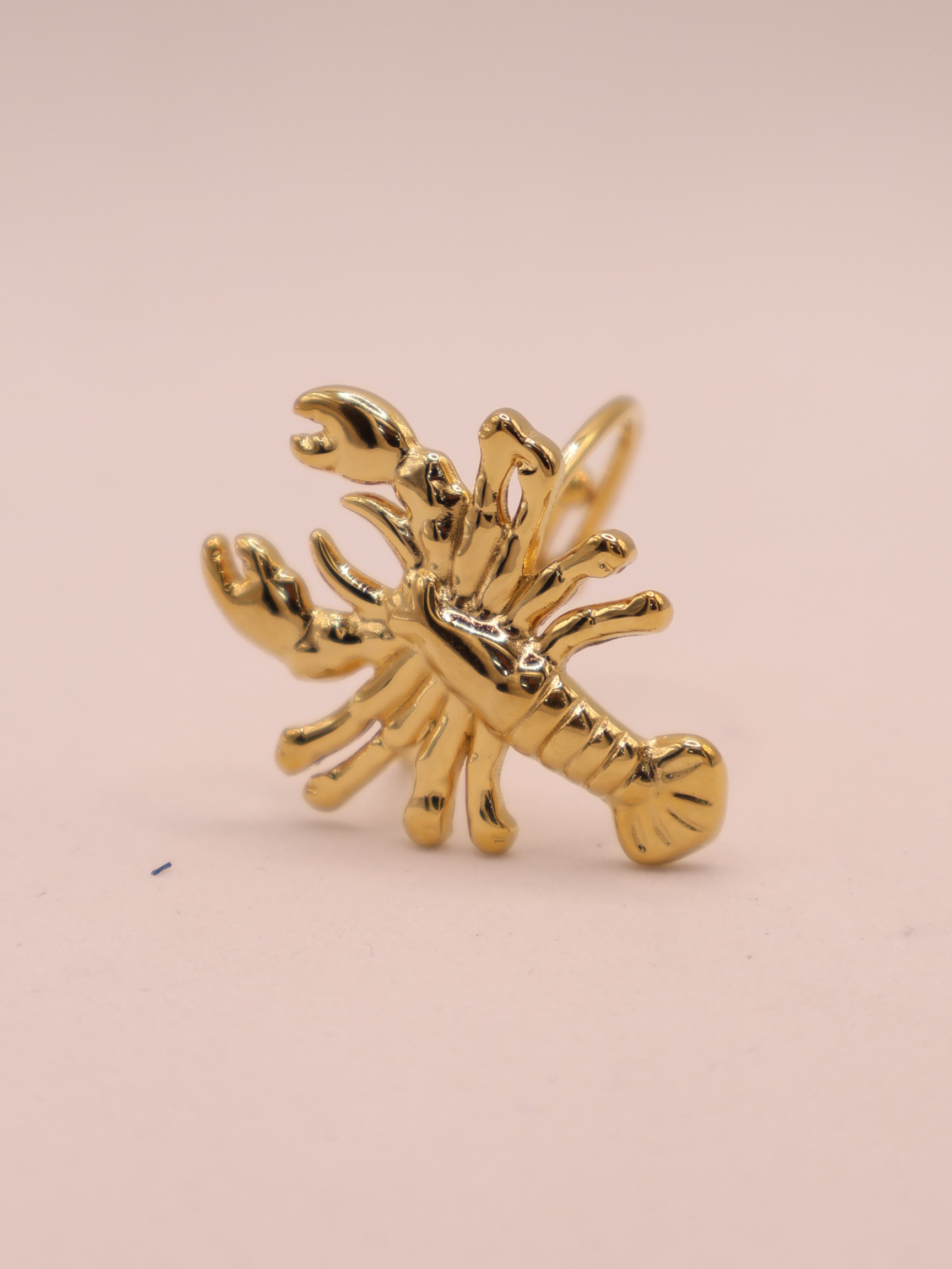 Anillo BURDEOS