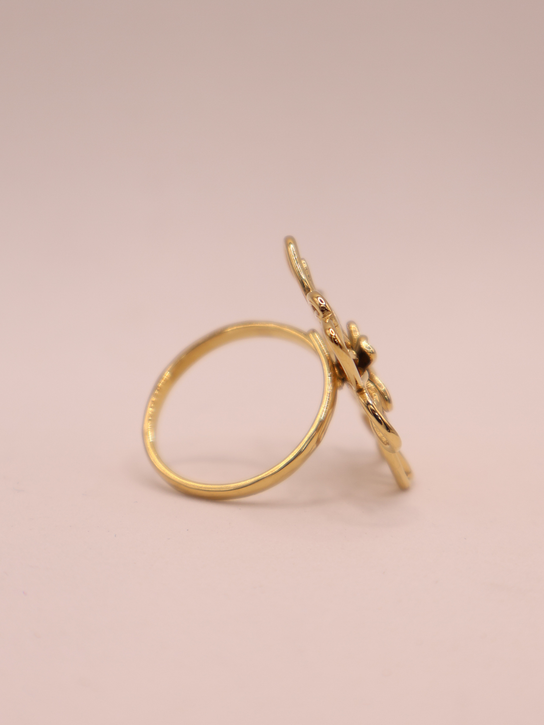Anillo NEWPORT