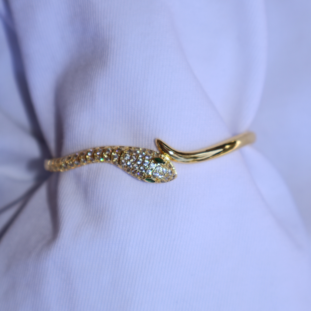 Brazalete Pagis