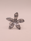 Anillo TOULOUSE