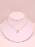 COLLAR 21