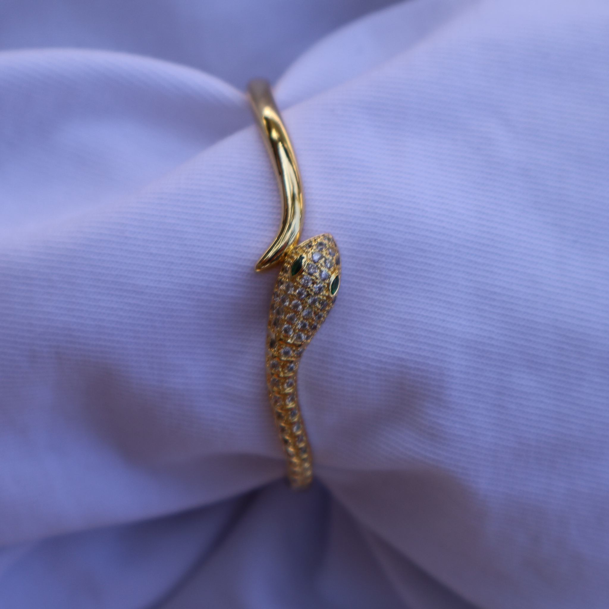 Brazalete Pagis
