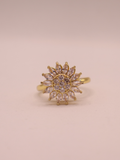 Anillo LAVAL