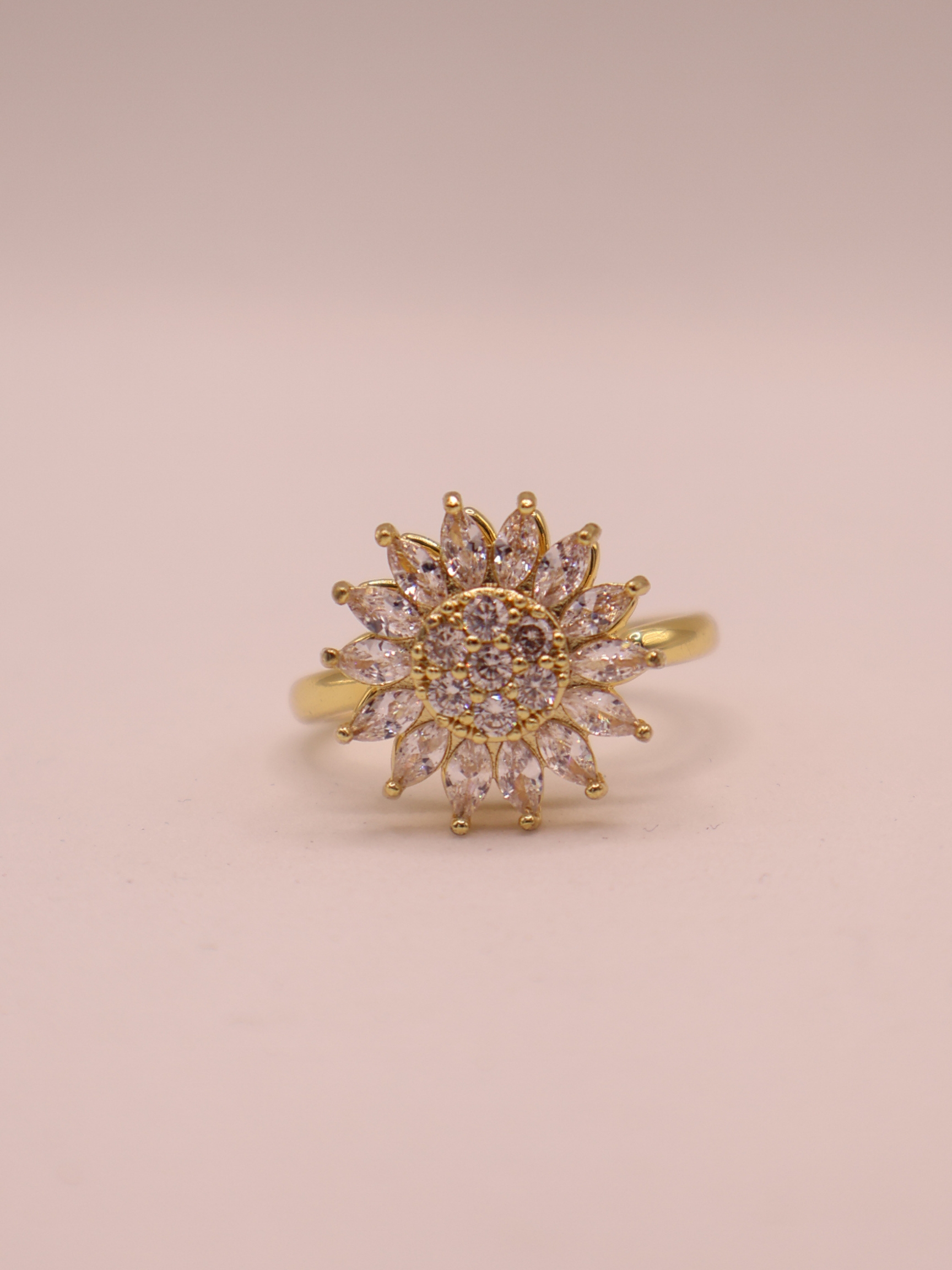 Anillo LAVAL