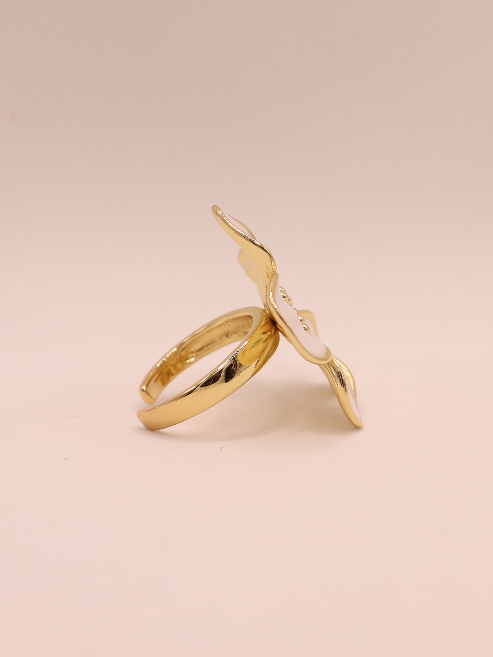 Anillo MARRAKECH