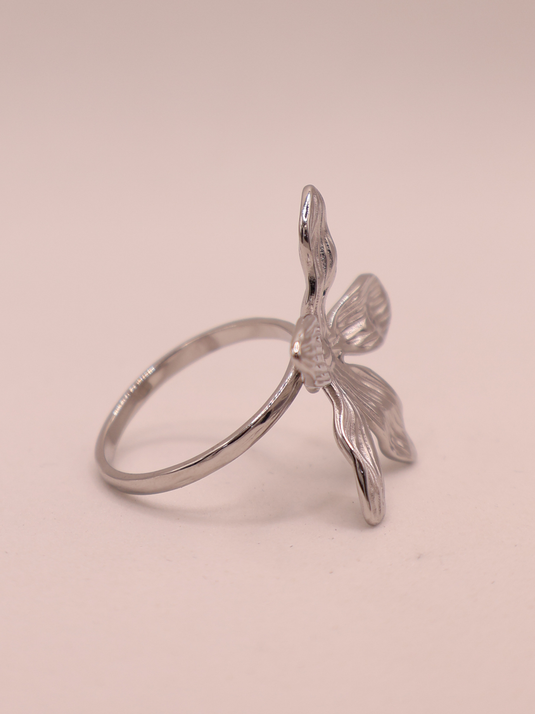 Anillo TOULOUSE
