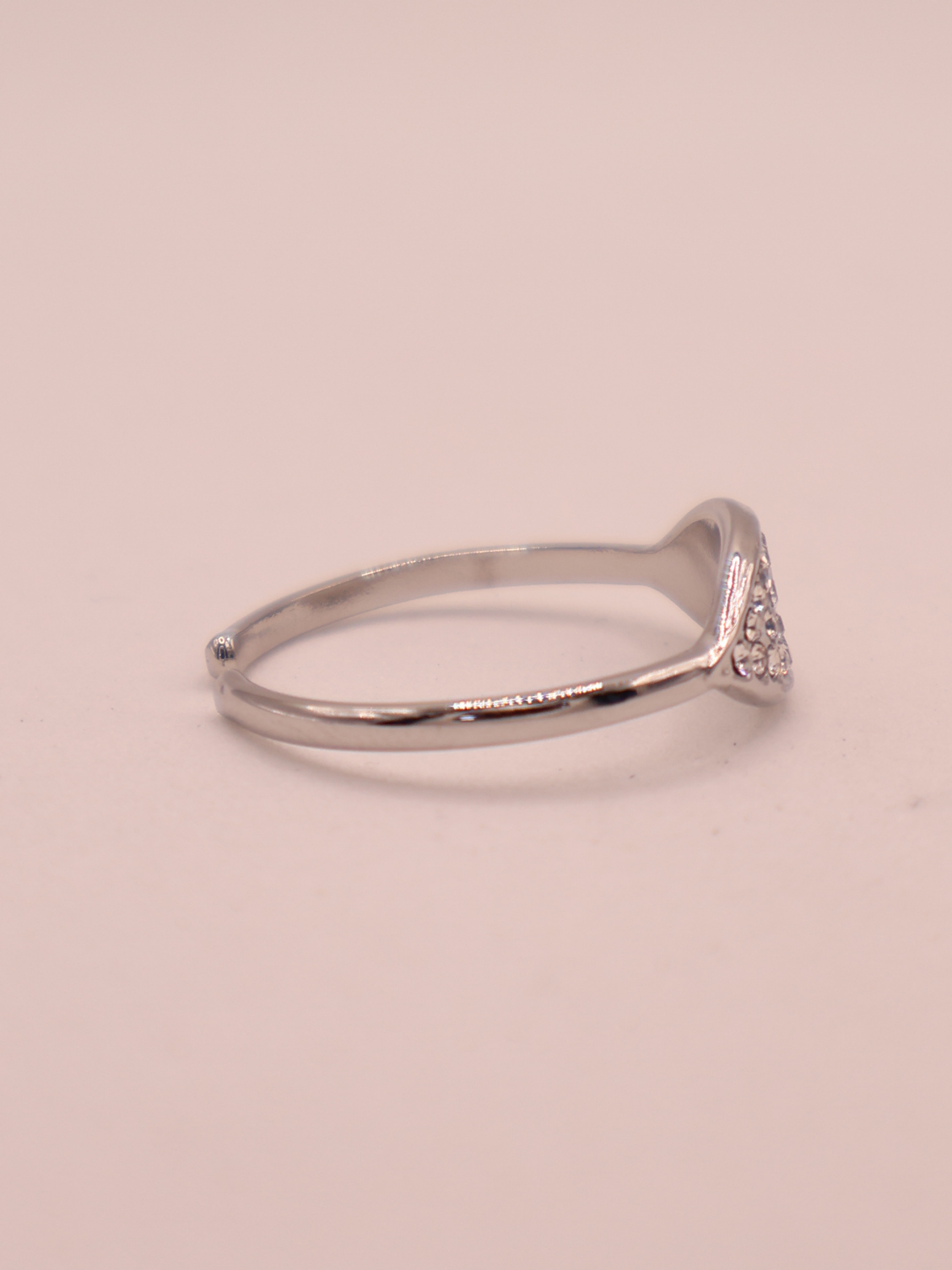 Anillo NARBONA
