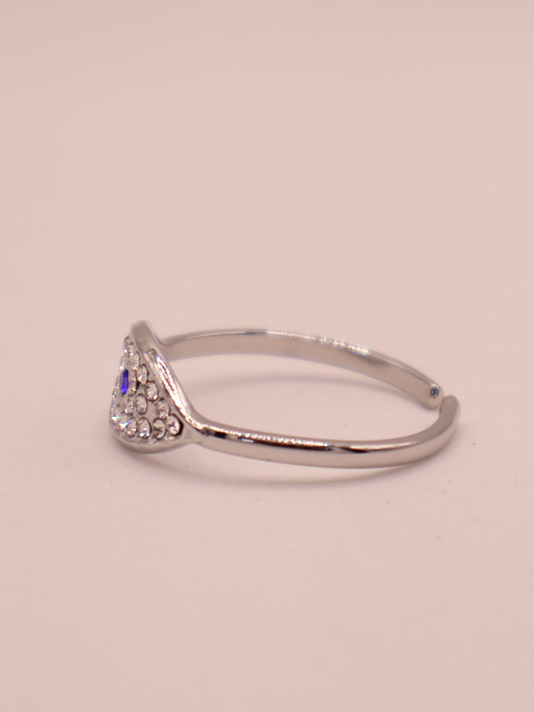 Anillo NARBONA
