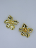 Aretes ROMA