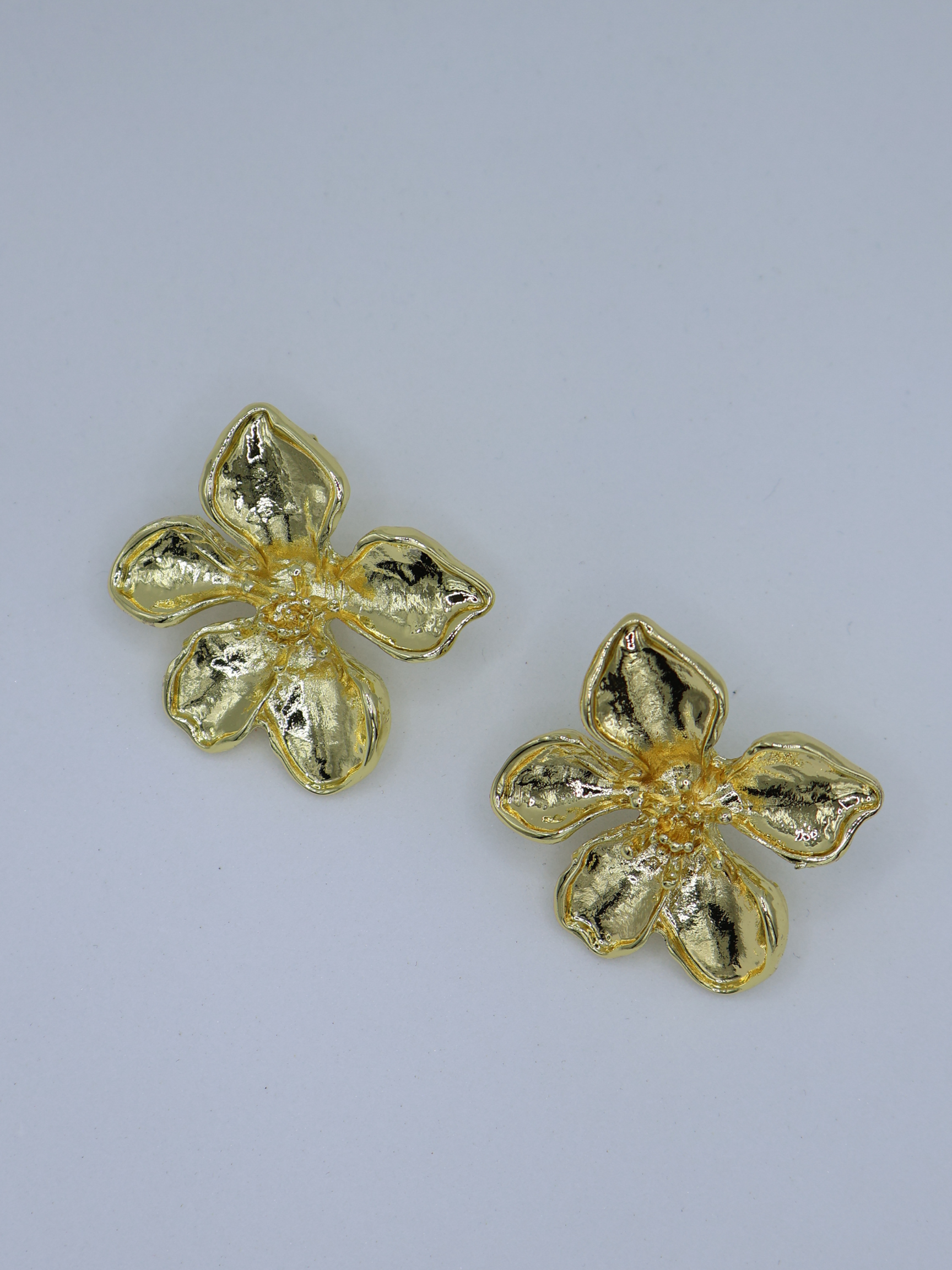 Aretes ROMA