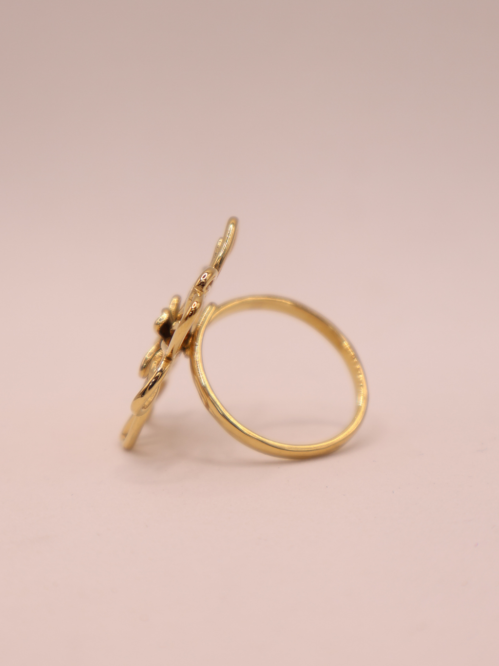 Anillo NEWPORT