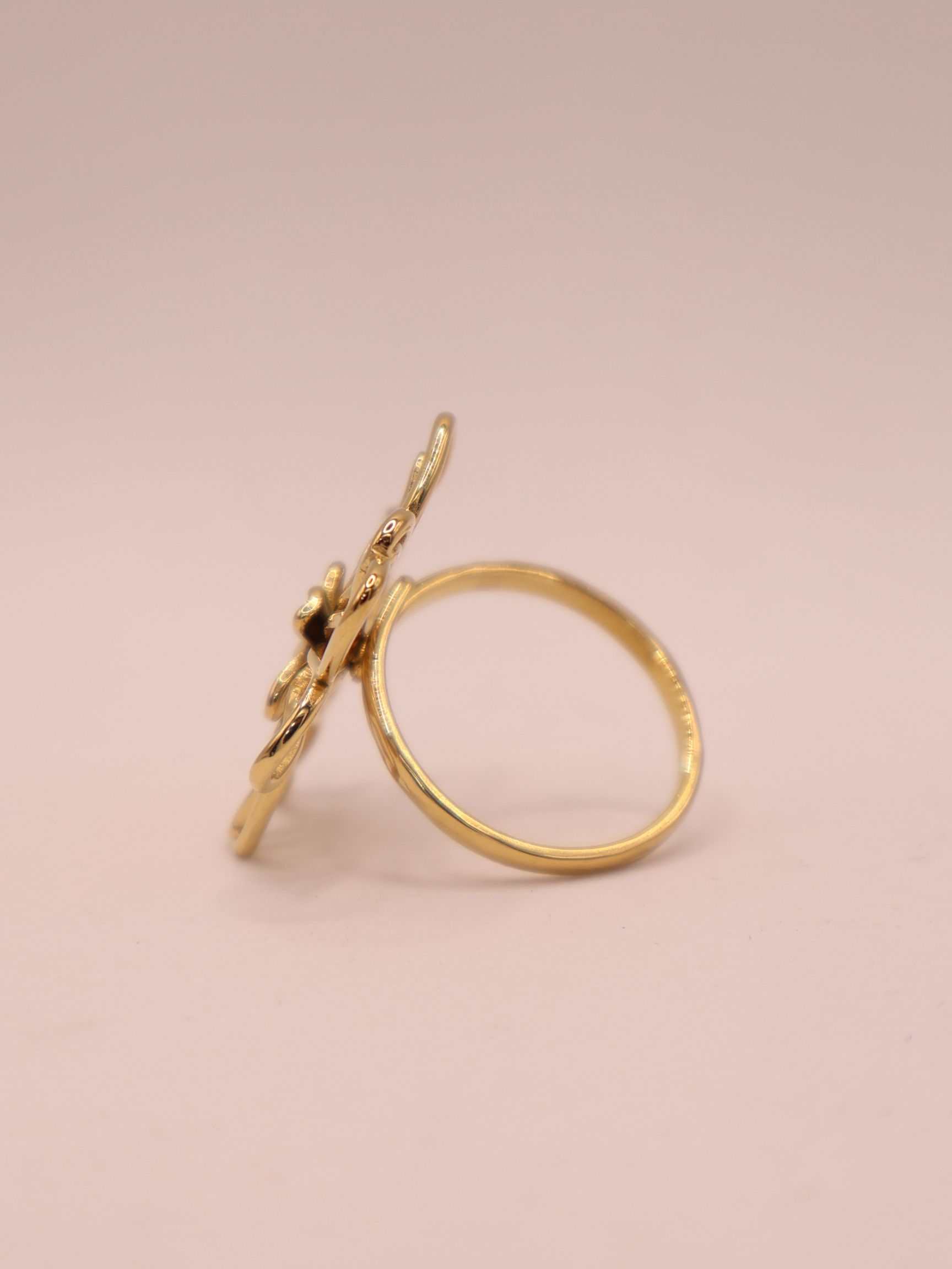 Anillo NEWPORT