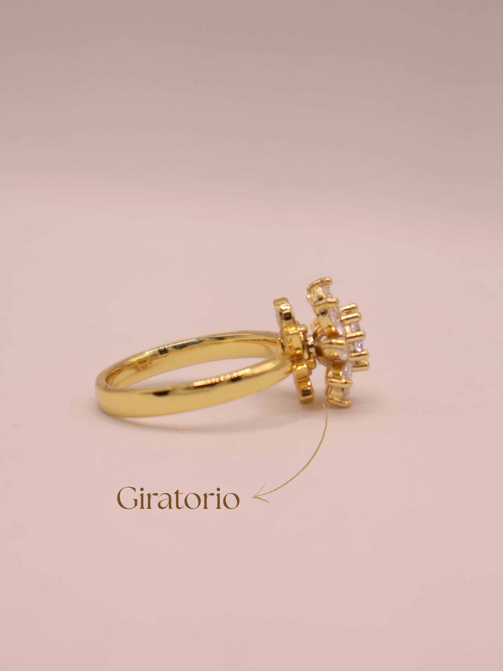 Anillo LAVAL