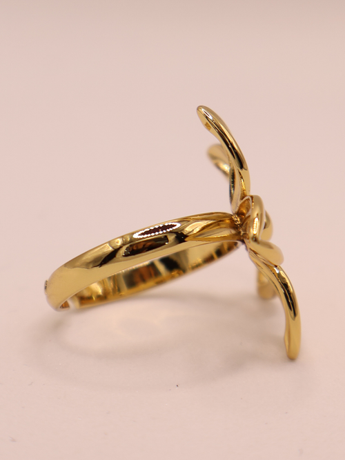 Anillo GIRONA