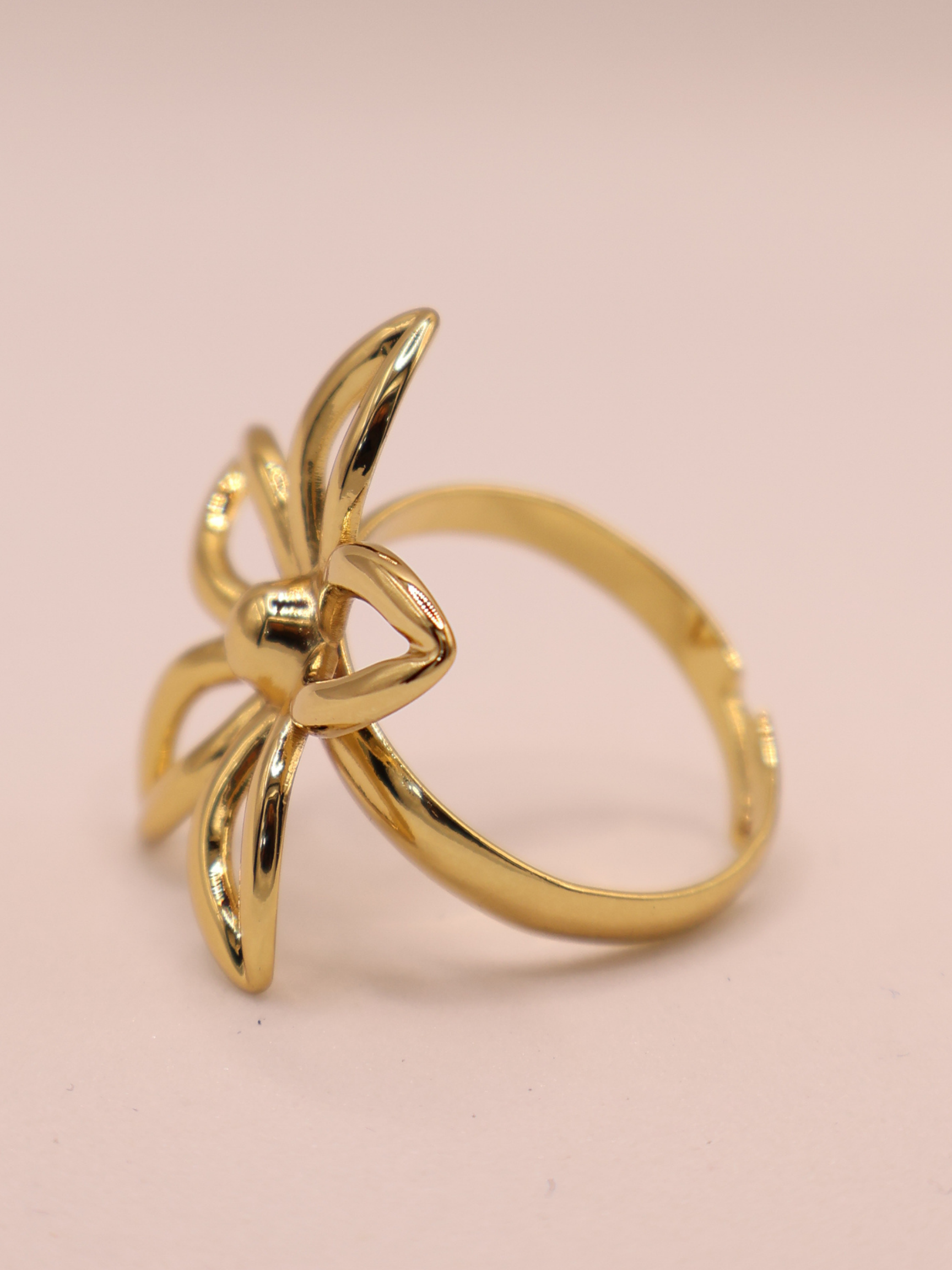 Anillo GIRONA