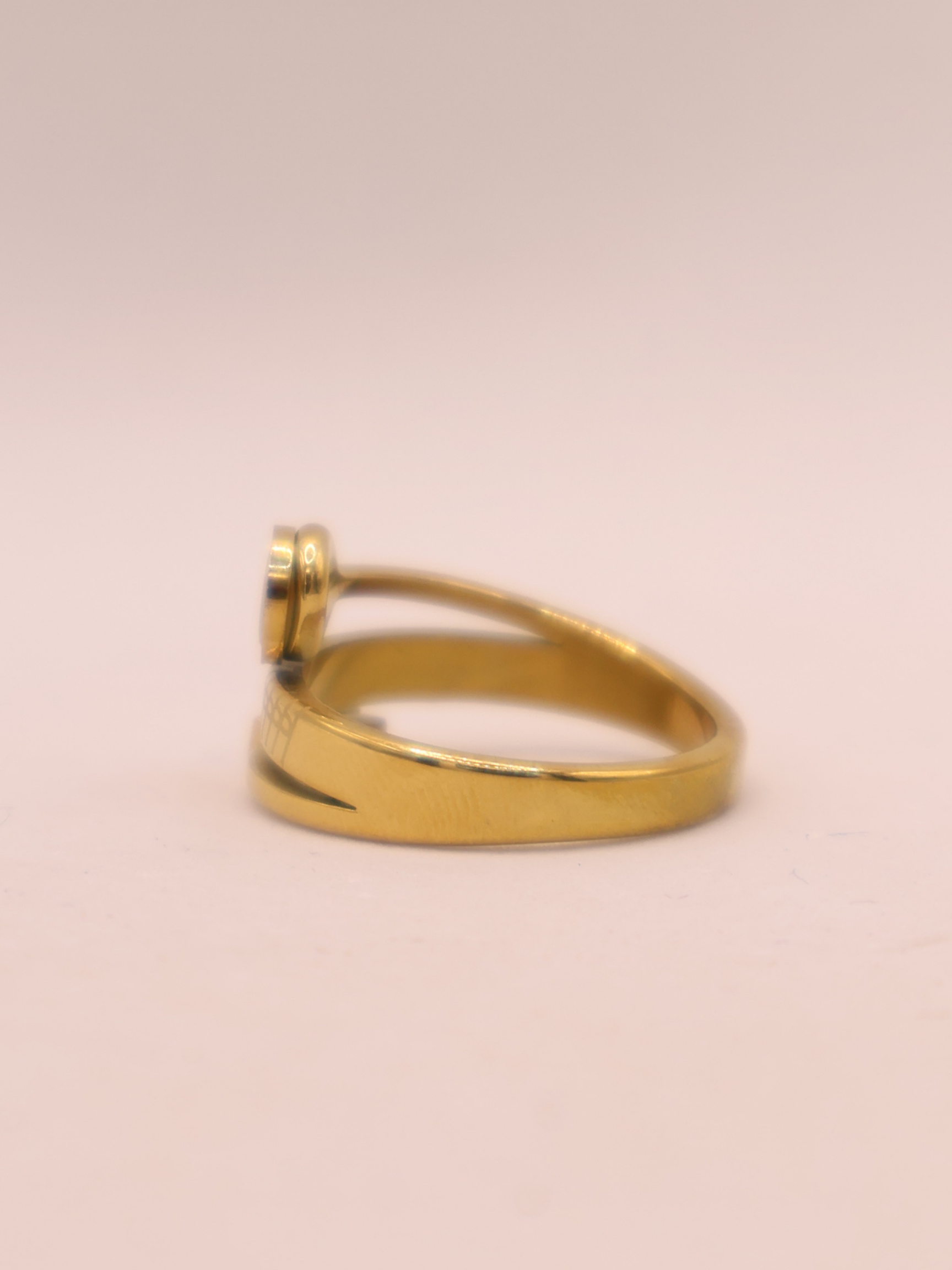 ANILLO 61