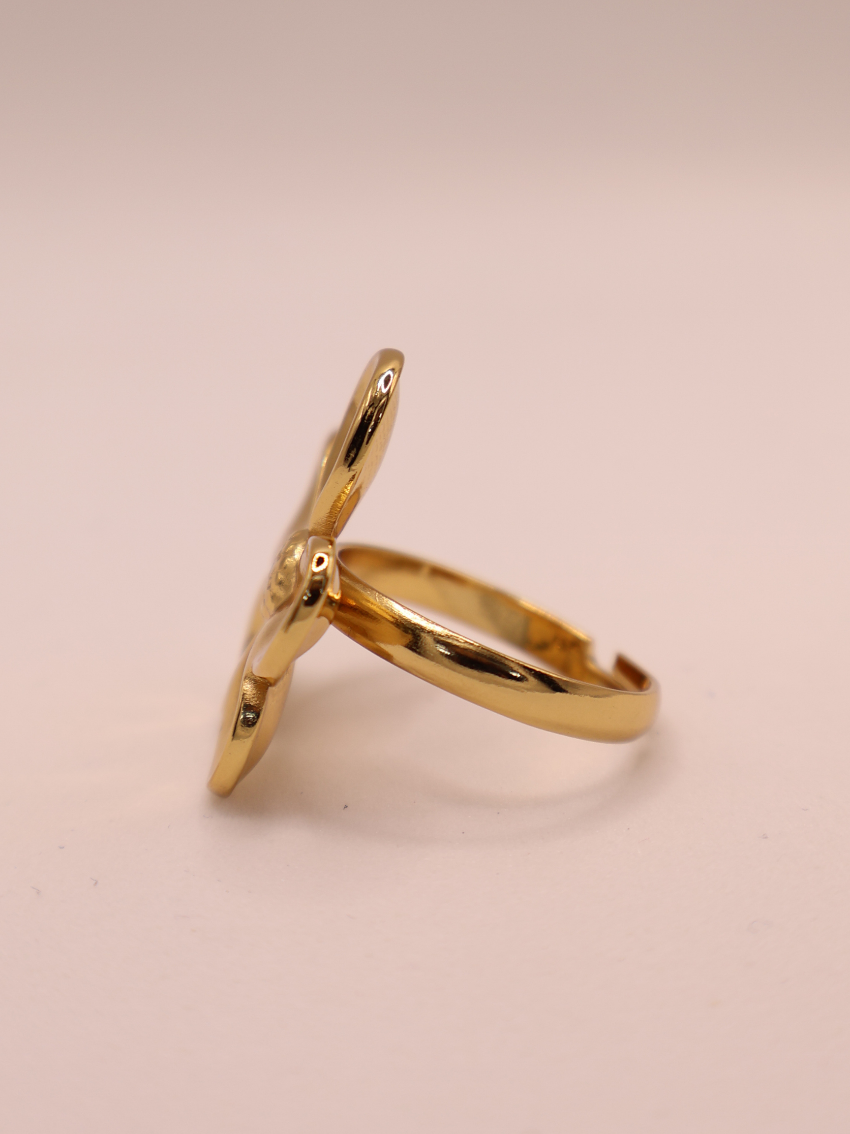 Anillo LARNACA