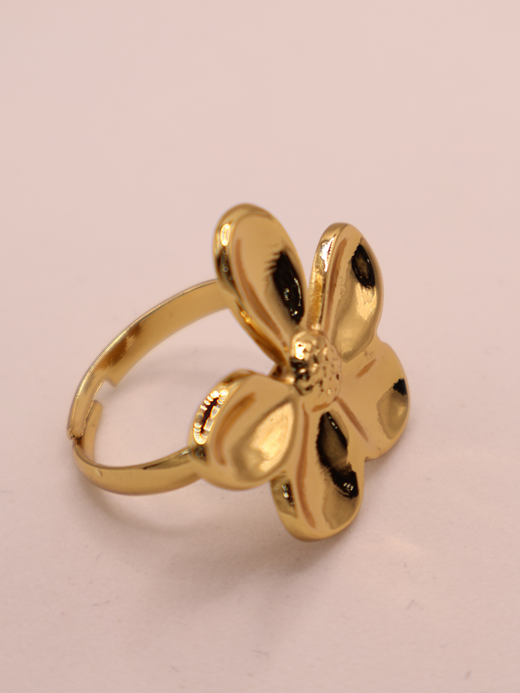 Anillo LARNACA