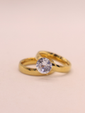 ANILLO 21