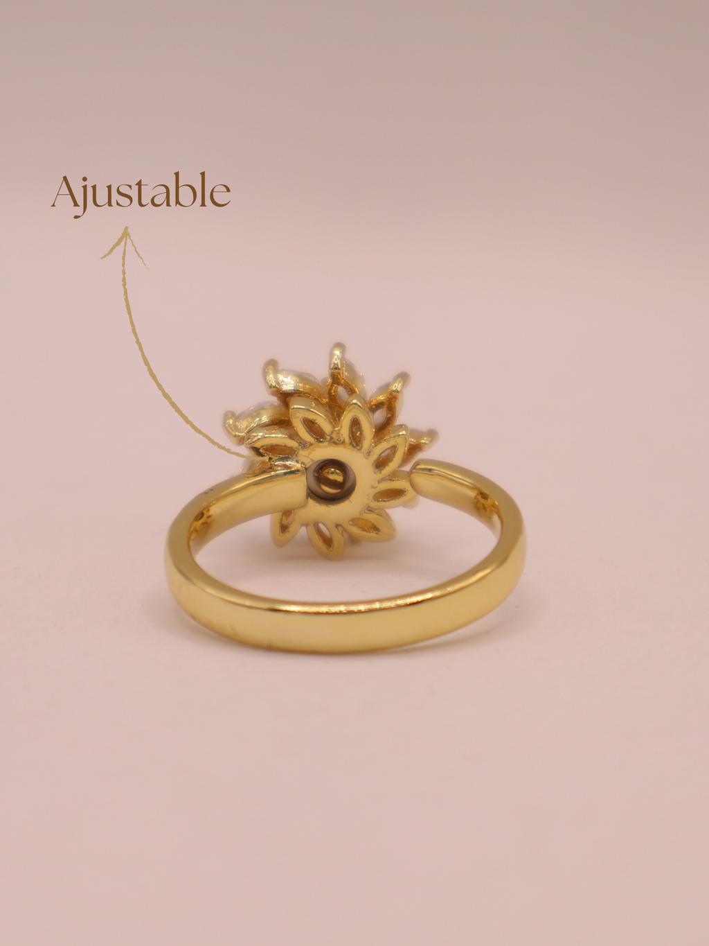 Anillo LAVAL