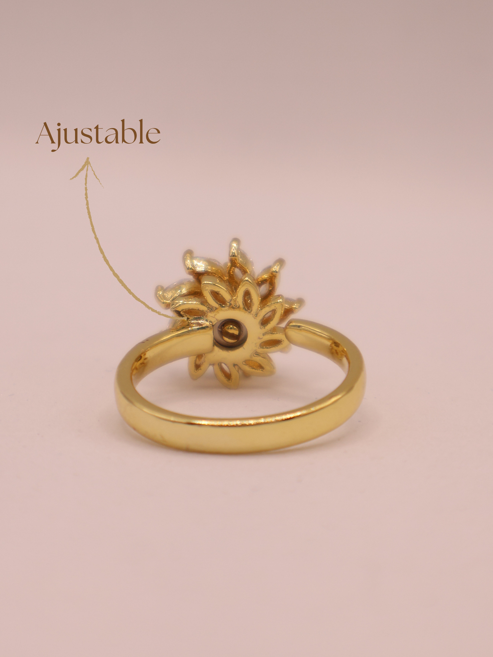 Anillo LAVAL