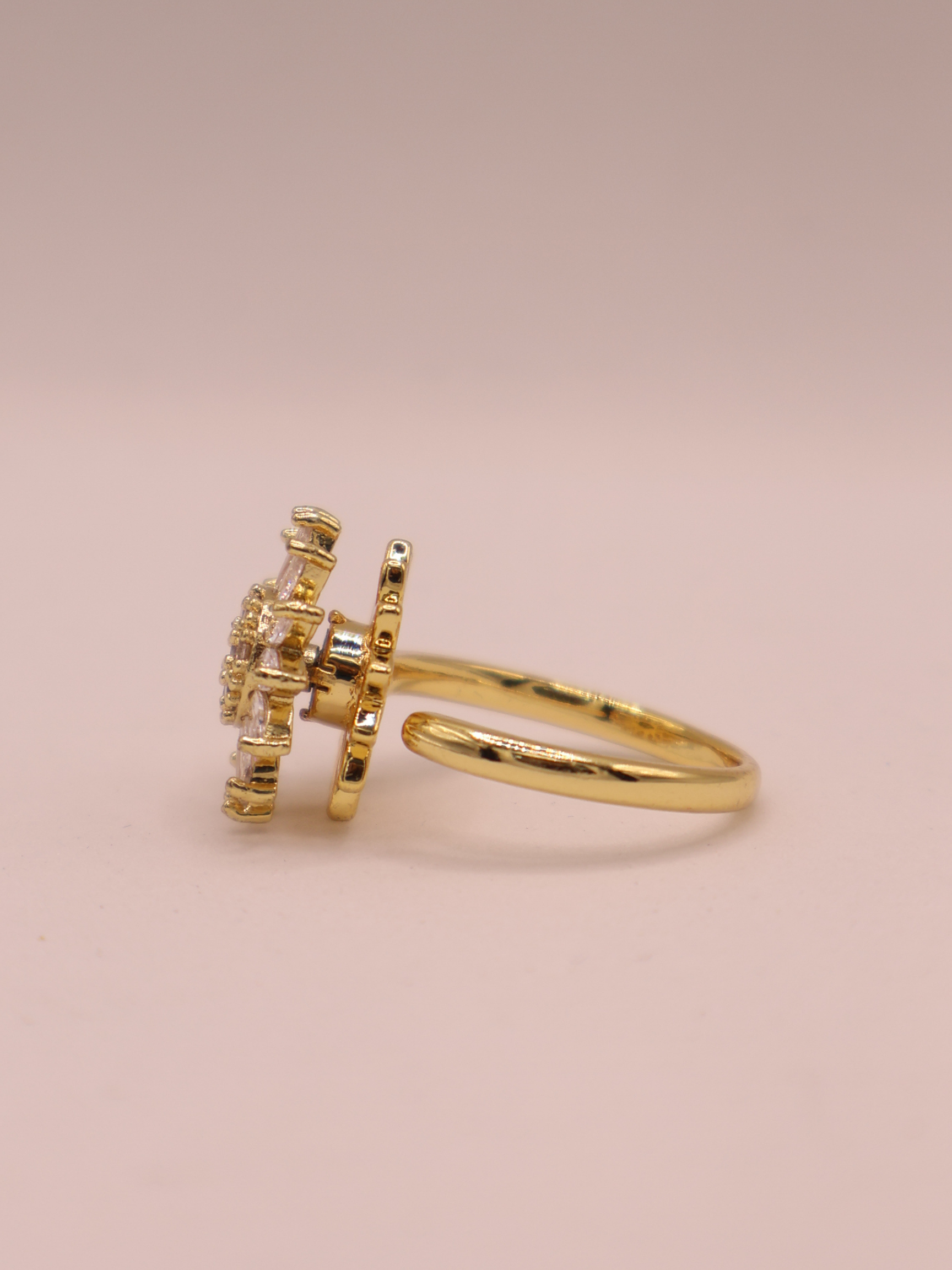 Anillo LAVAL