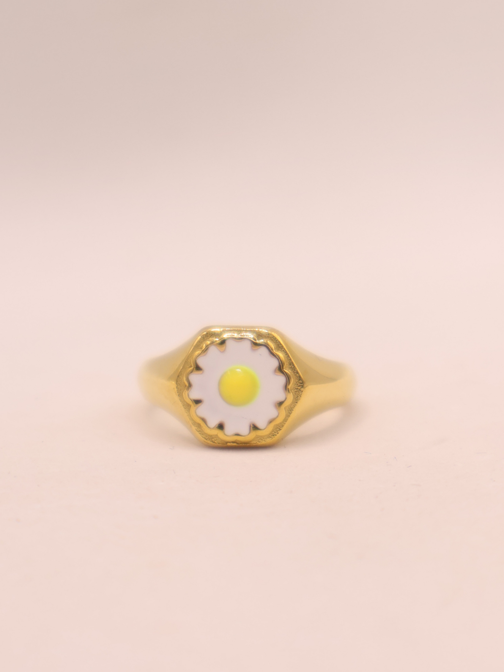 ANILLO 66