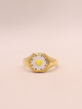 ANILLO 66