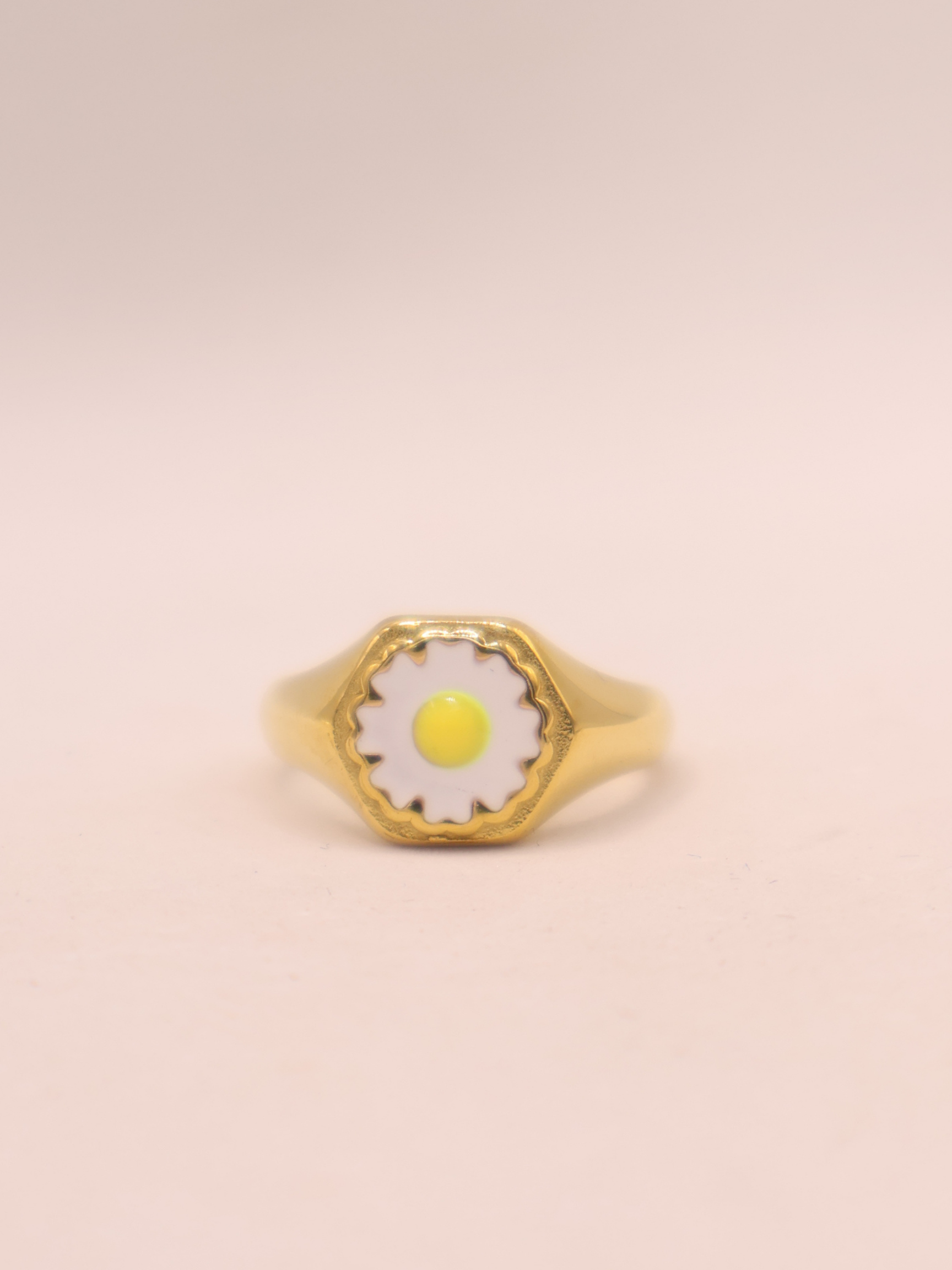 ANILLO 66